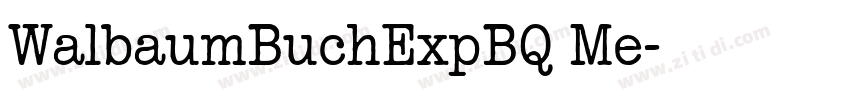 WalbaumBuchExpBQ Me字体转换 WalbaumBuchExpBQ Me字体转换